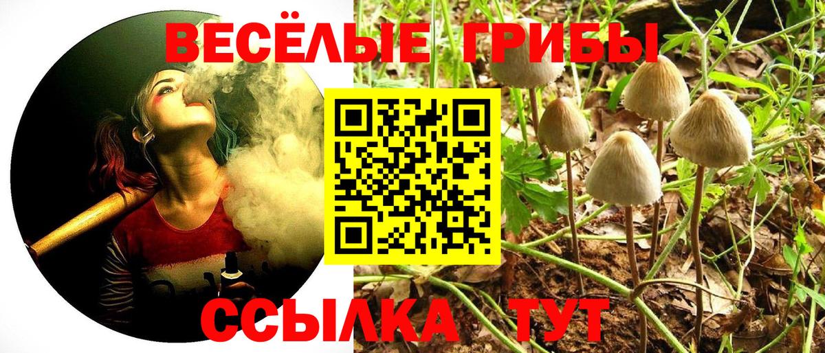Волжск  Галлюциногенные грибы ЛСД  Вход с VPN 